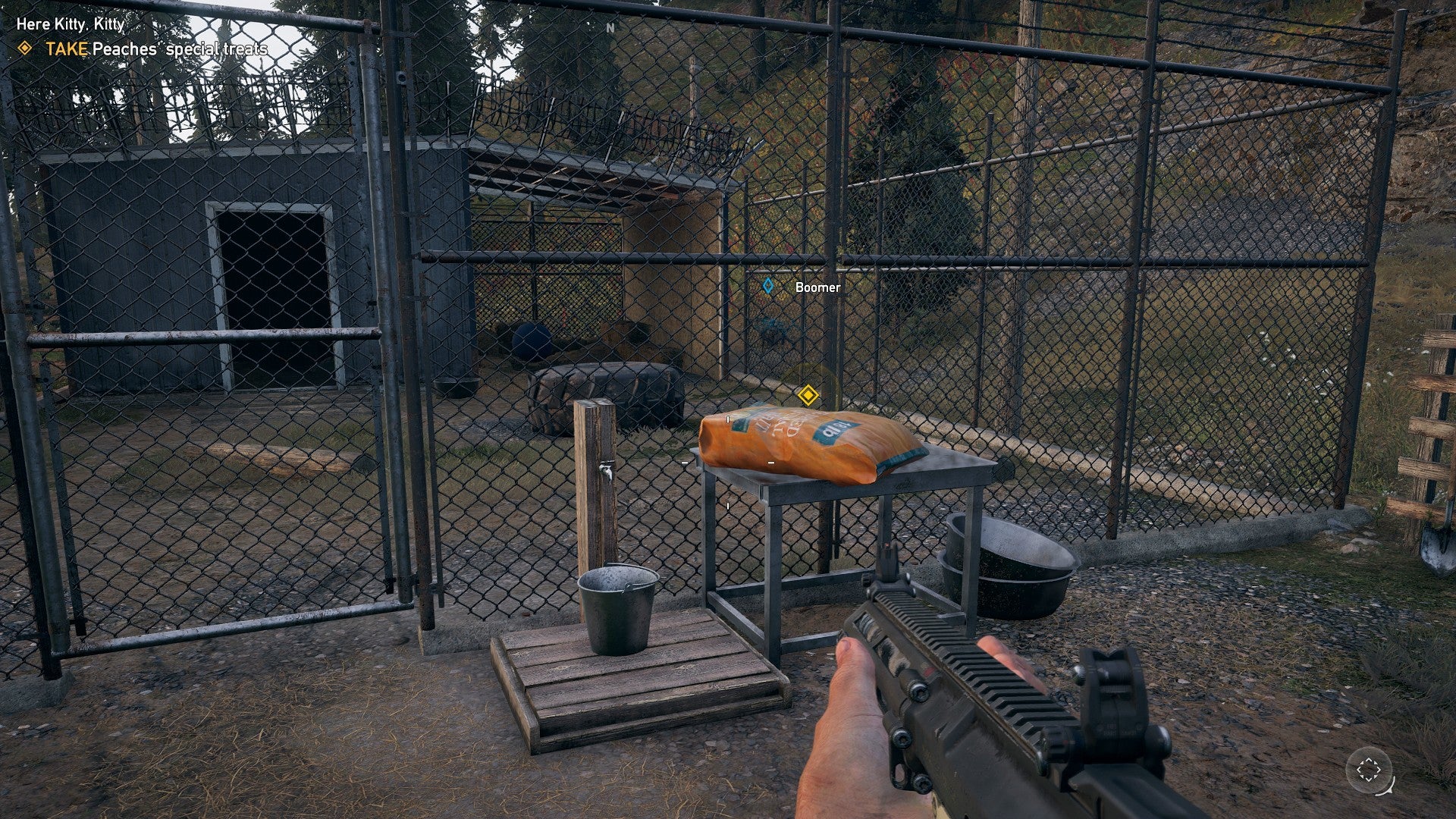 Far Cry 5 Peaches the Cat Peaches Location and Quest Guide Peaches